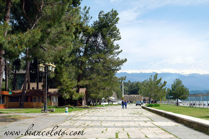 Набережная в Пицунде