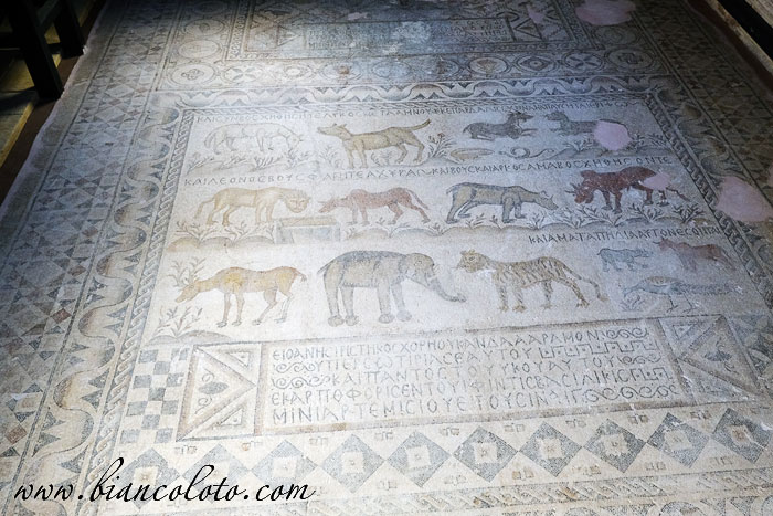 Мозаики. Археологический музей в Адане 