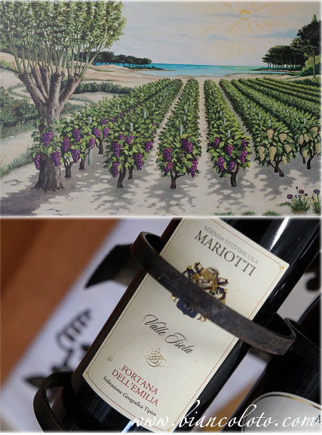 Дельта реки По