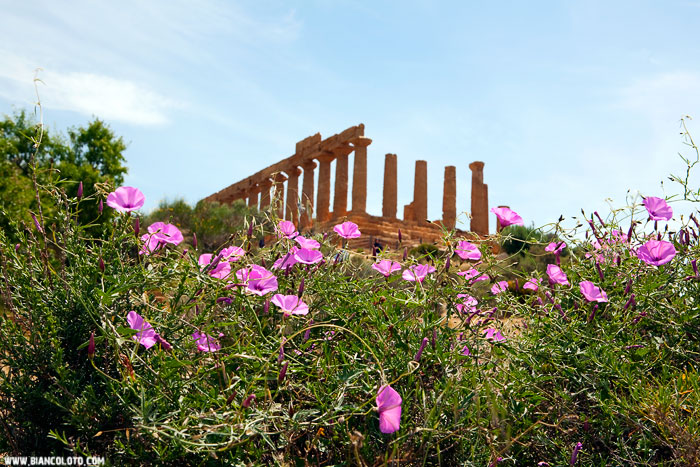 Храм Геры Лацинии