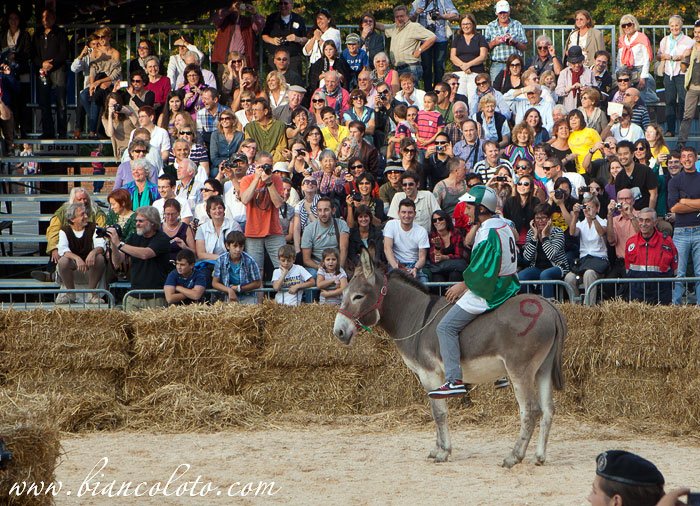 Палио на ослах. Альба