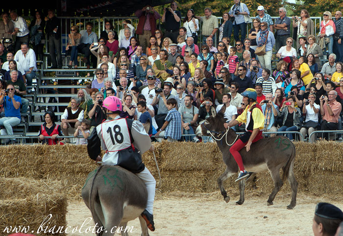 Палио на ослах. Альба