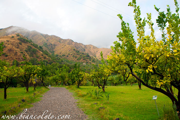 Ущелье Алькантара