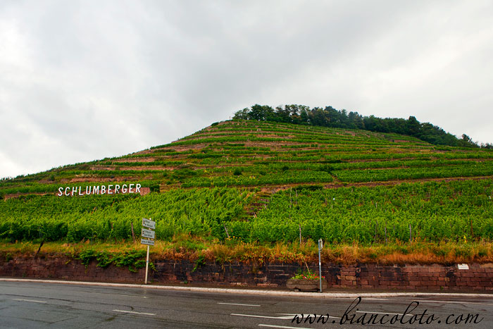 Виноградники Schlumberger
