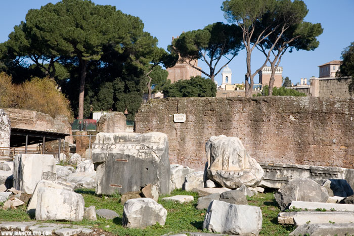 Базилика Эмилия