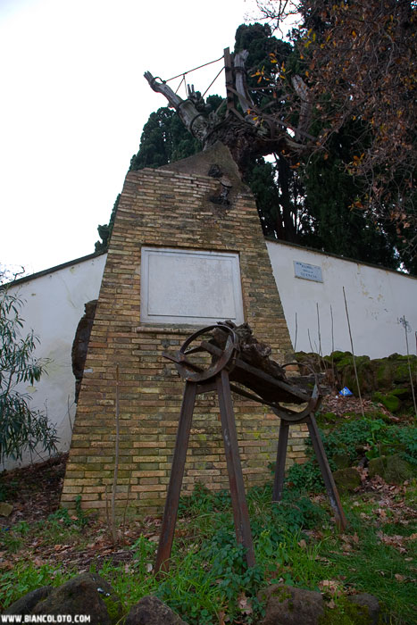 Яникул, засохший дуб