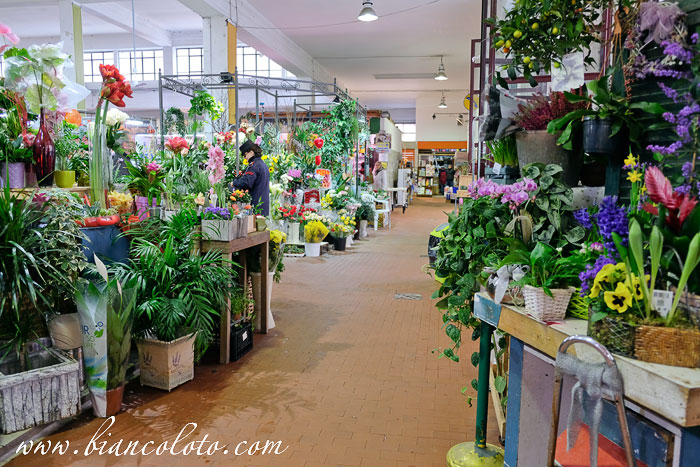 Рынок на via Catania