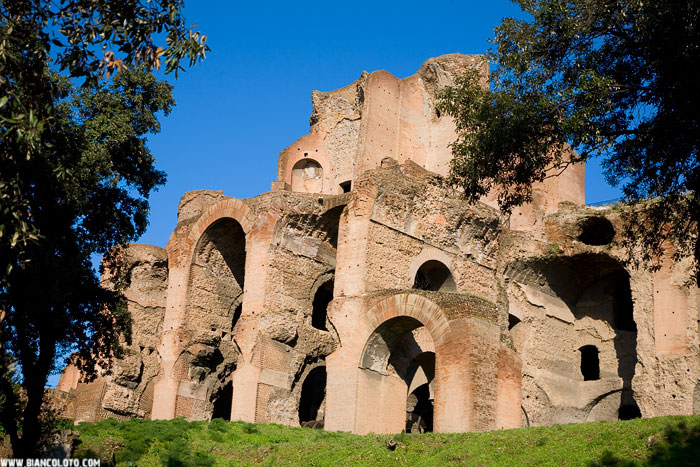 Аркады Севера