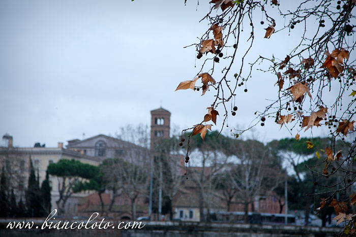 Рим в январе. Чем заняться, что посмотреть