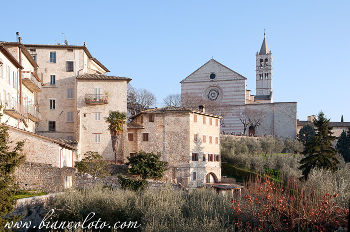 Базилика Святой Кьяры