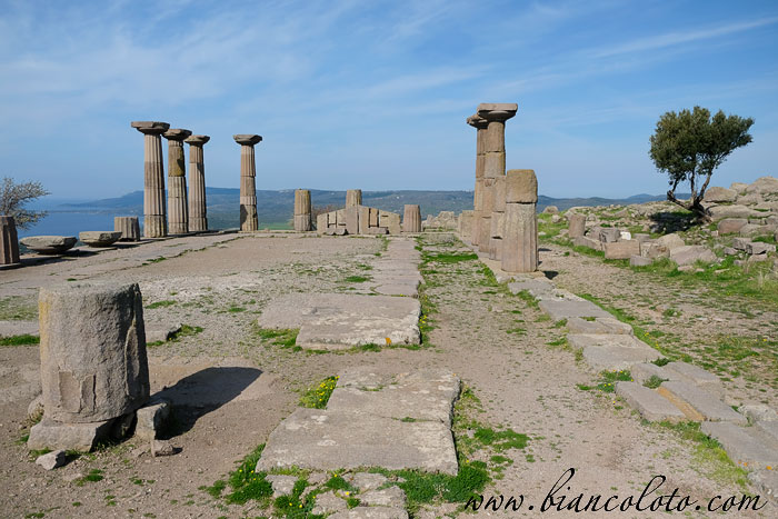 Храм Афины. Ассос