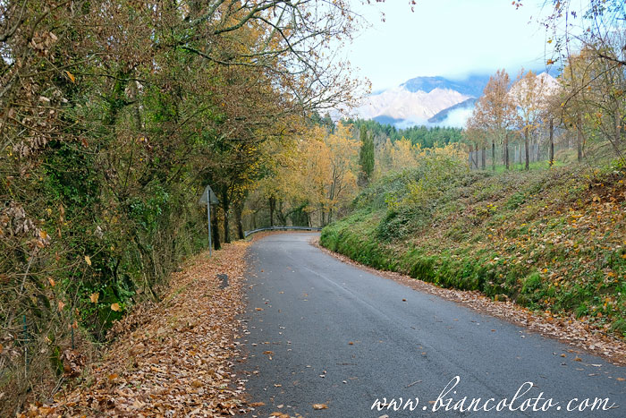 Баньоне (Bagnone)