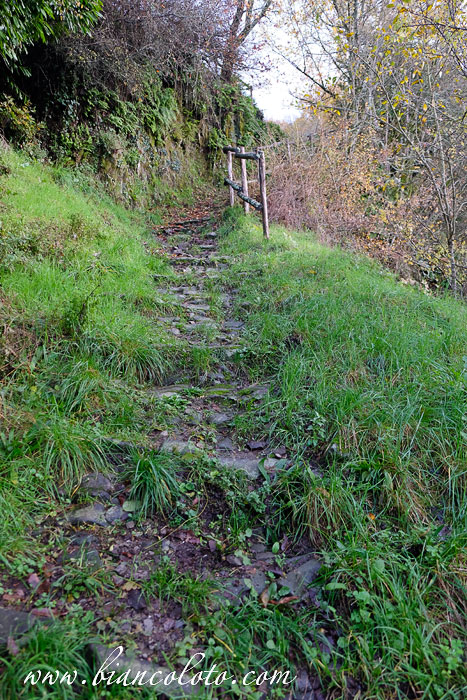 Подъем к замку