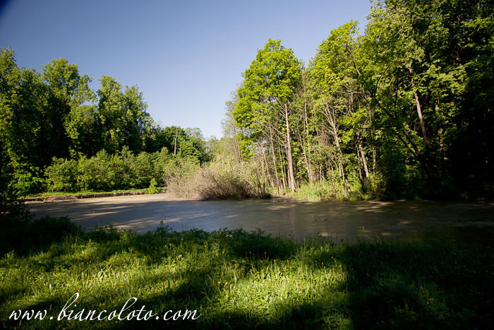 Усадьба Горенки