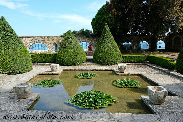 Ботанический сад Балчик 