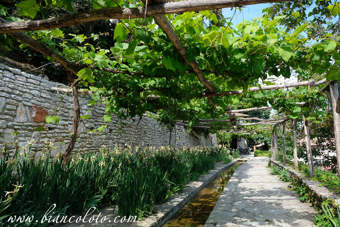 Ботанический сад Балчик 