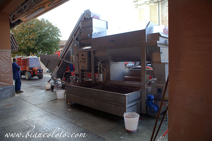 Барбареско