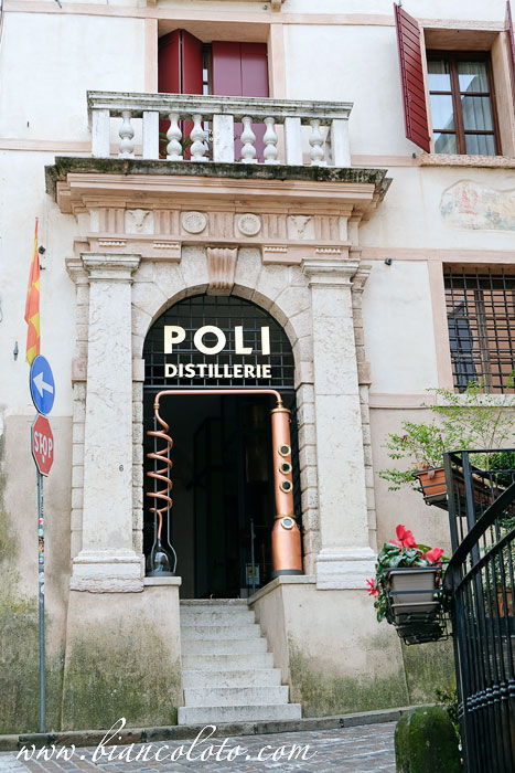 Poli
