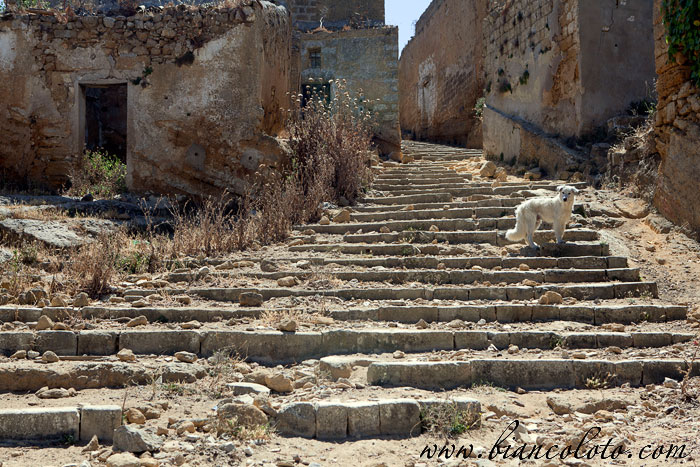 Санта Маргарита ди Беличе