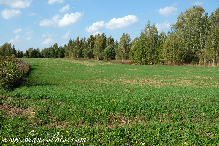 Усадьба Шахматово