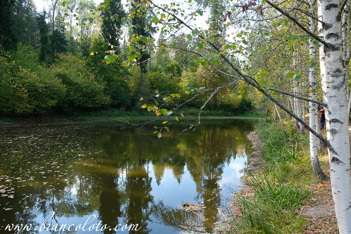 Усадьба Шахматово