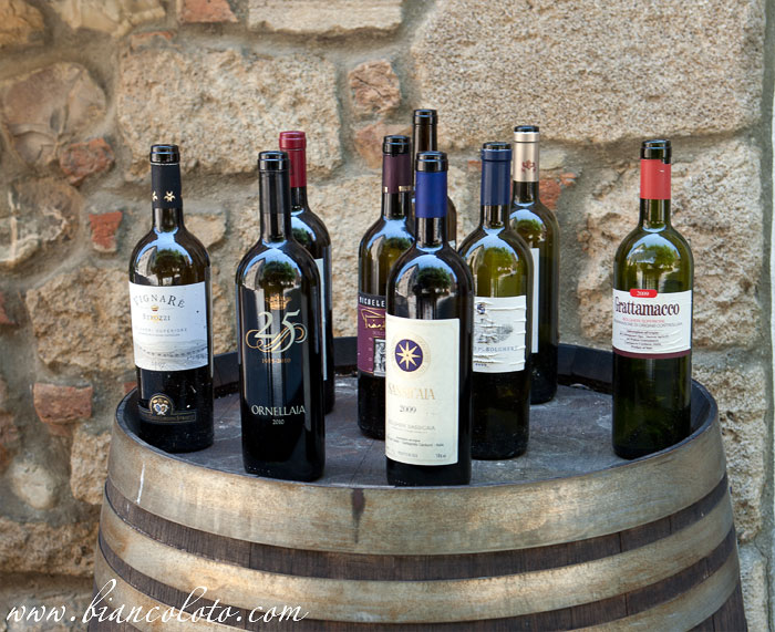 Болгери и вина. Тоскана. Италия