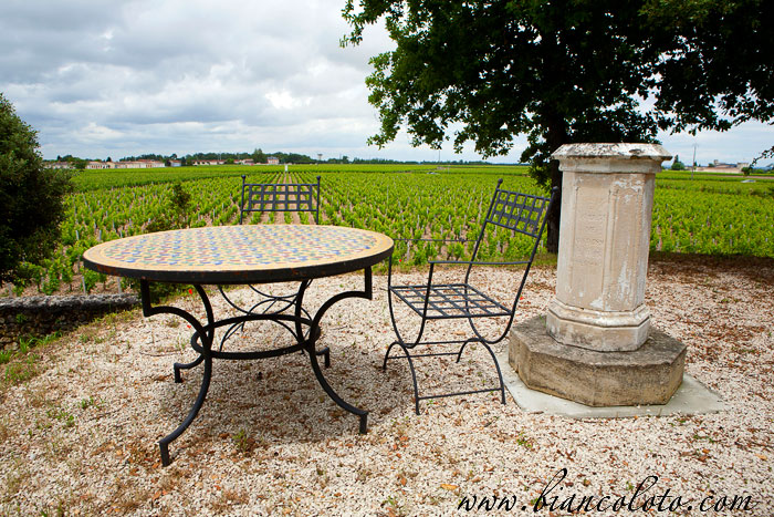 Виноградники Бордо