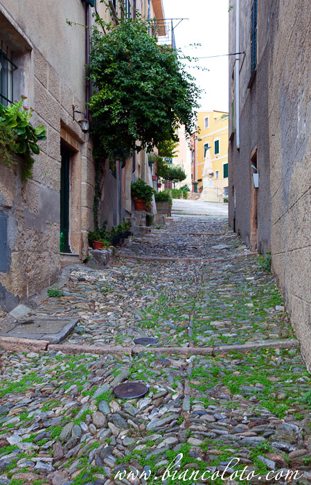 Борджио Верецци