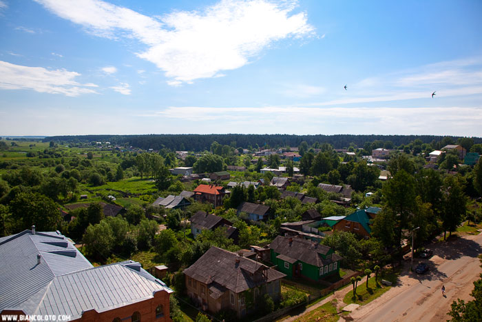 Борисоглебский монастырь, вид с башни
