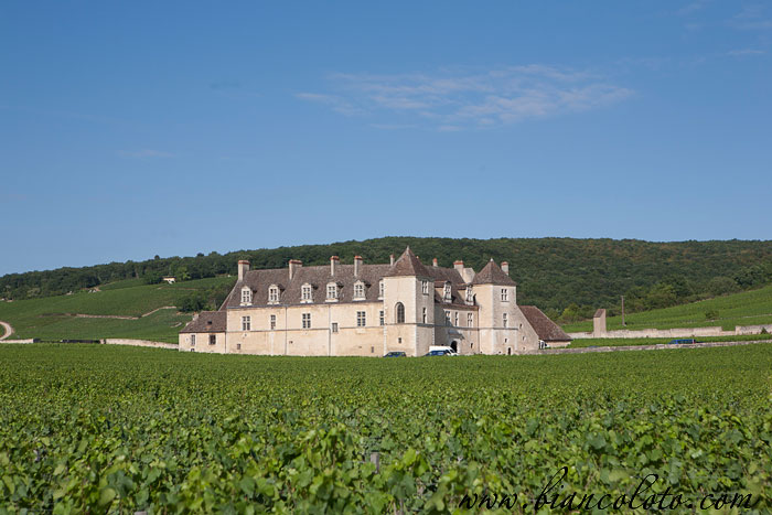 Кло де Вужо