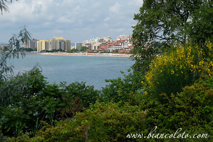 Солнечный берег