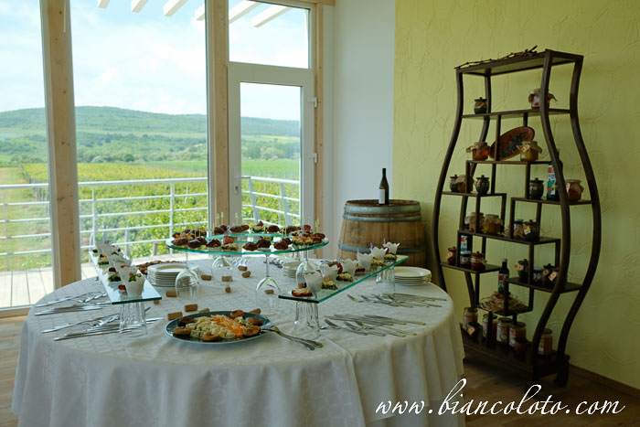 Дегустация вин в Албене