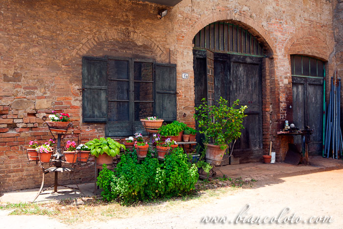 Буонконвенто. Тоскана. Италия