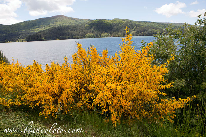 Национальный парк Сила