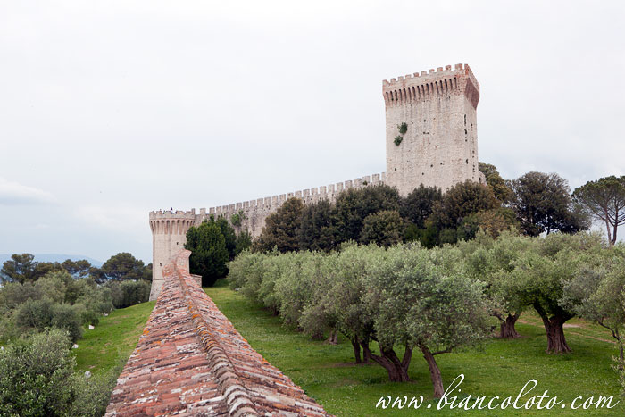 Рокка дель Леоне