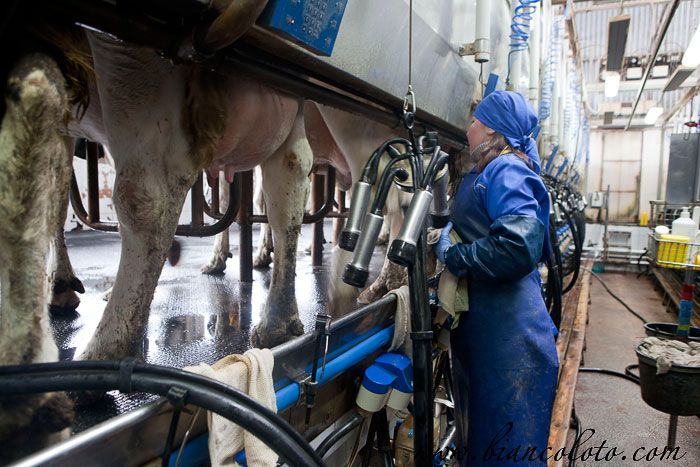 Ферма Братья Чебурашкины