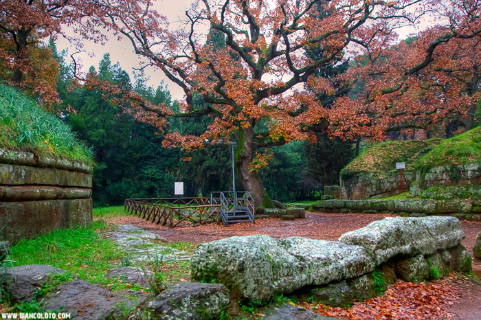 Черветери, некрополь этрусков