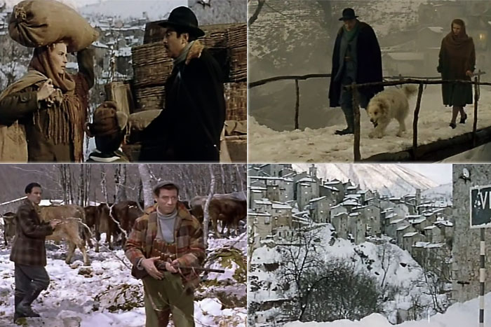 Люди и волки