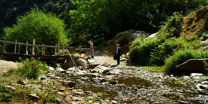 Аспромонте