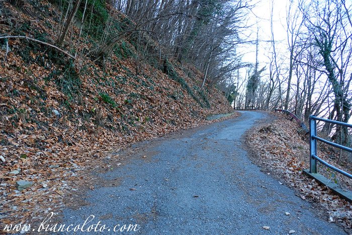 Дорога в Консонно (Consonno)