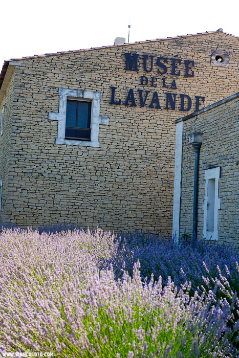 Музей Лаванды