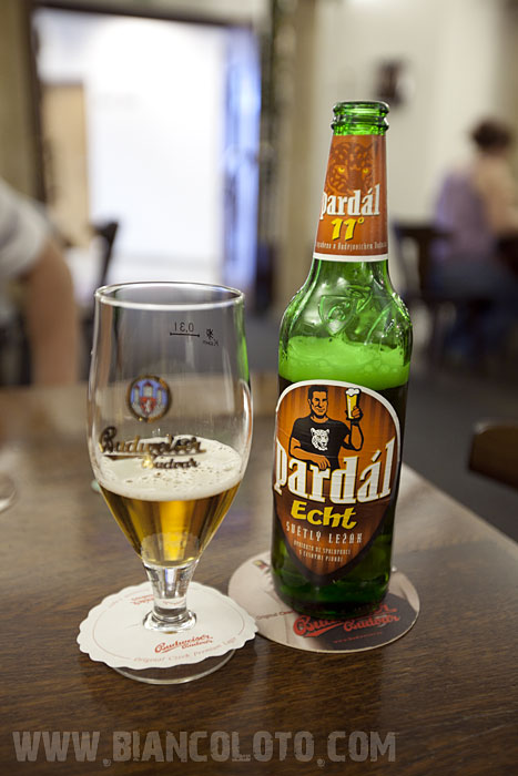 Ческе-Будеевице. Чехия.