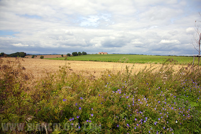 Кокоржин. Чехия.
