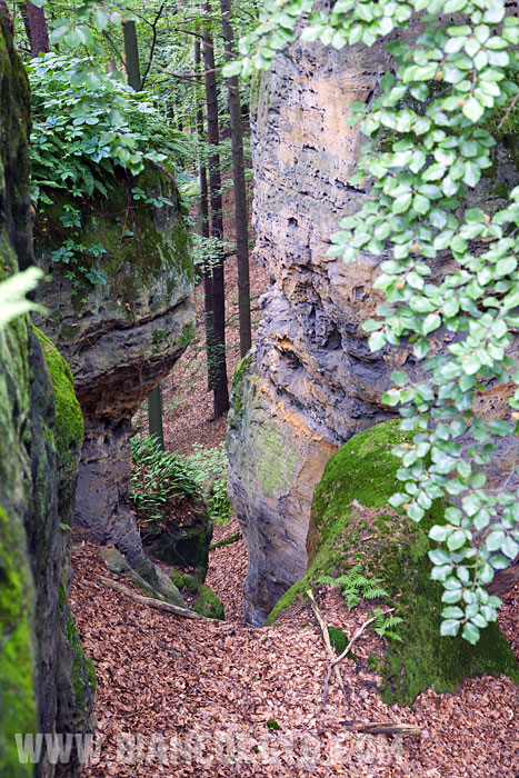 Кокоржин. Чехия.