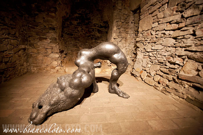 Арт-выставка в замке. Чески-Крумлов. Чехия.