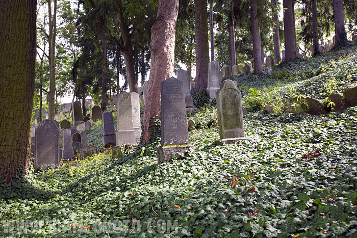 Еврейское кладбище. Тршебич. Чехия.