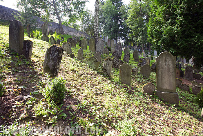 Еврейское кладбище. Тршебич. Чехия.