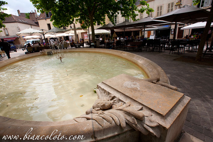 Площадь Эмиля Золя. Дижон