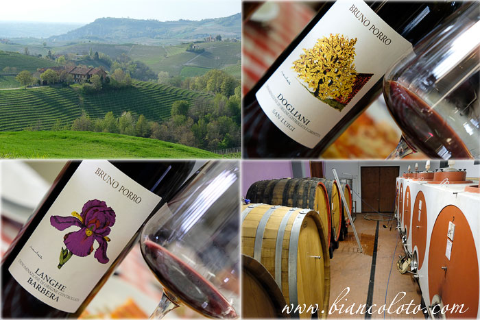 Винодельня Ribote