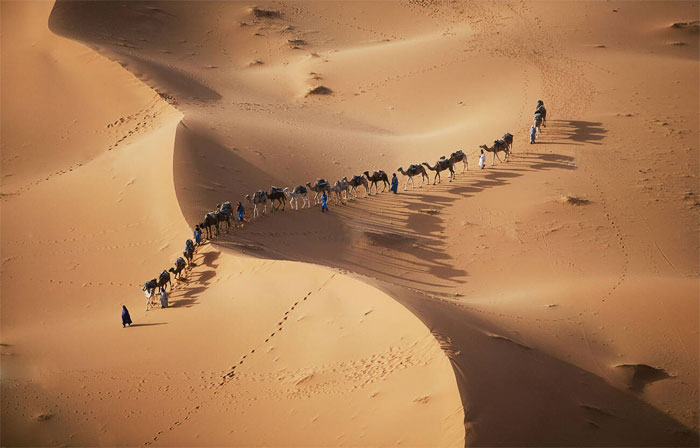 Транссахарский торговый путь